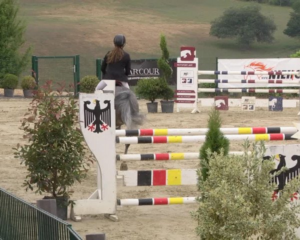 Reitturnier Lindlar-Süttenbach 2019