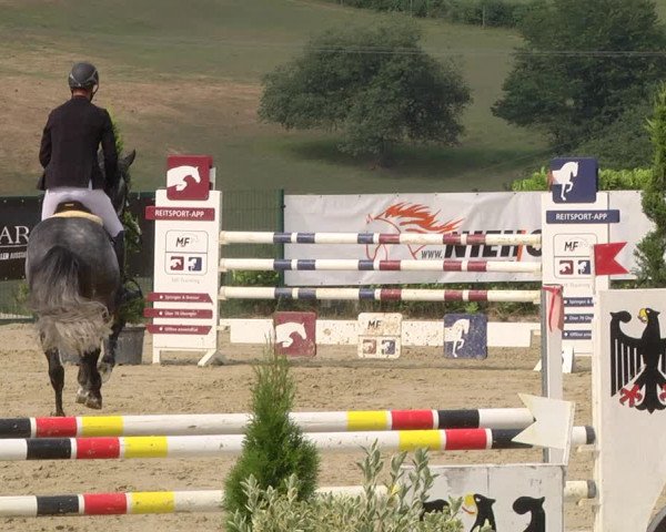 Reitturnier Lindlar-Süttenbach 2019