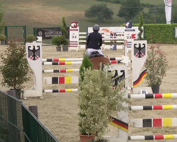 Reitturnier Lindlar-Süttenbach 2019