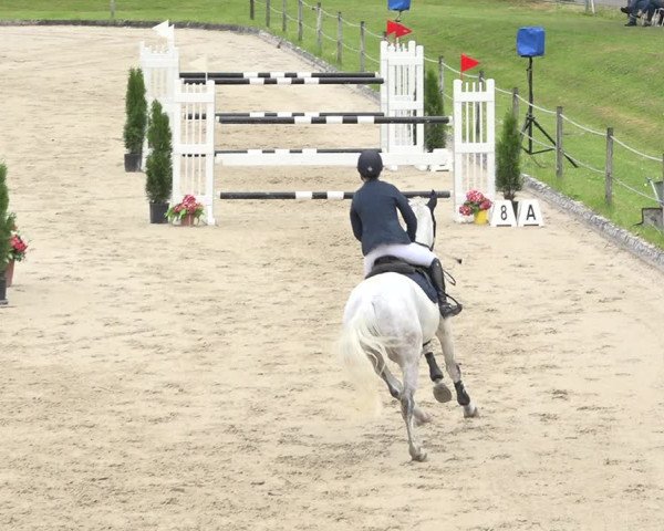 Reitturnier Turbenthal 2019