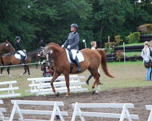 dressage horse Hirtenmond (Trakehner, 1998, from Caprimond)