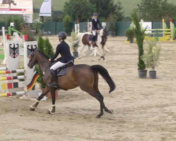 Reitturnier Lindlar-Süttenbach 2019