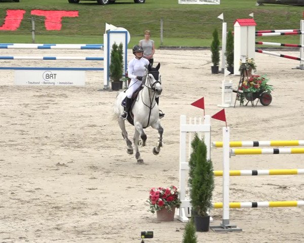 Reitturnier Turbenthal 2019