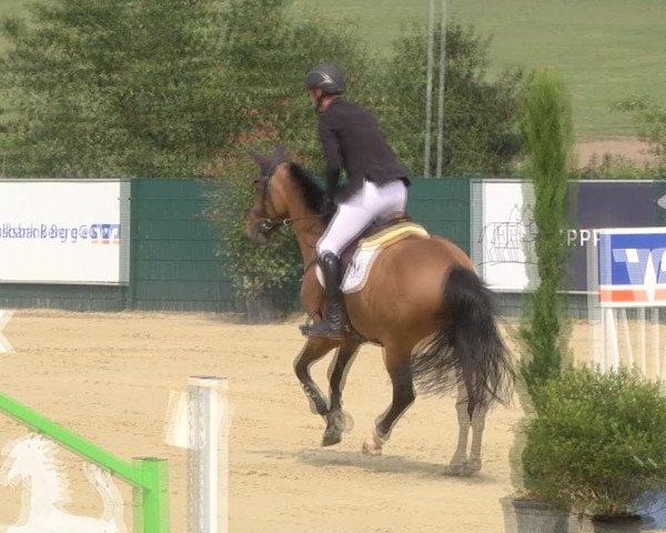 Reitturnier Lindlar-Süttenbach 2019