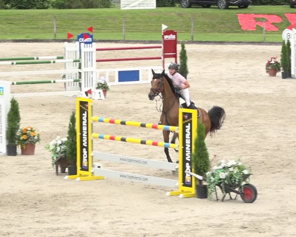 Reitturnier Turbenthal 2019