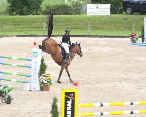 Reitturnier Turbenthal 2019