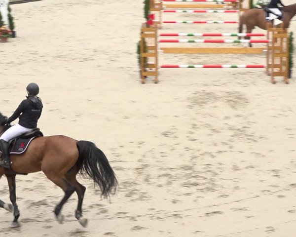 Reitturnier Turbenthal 2019