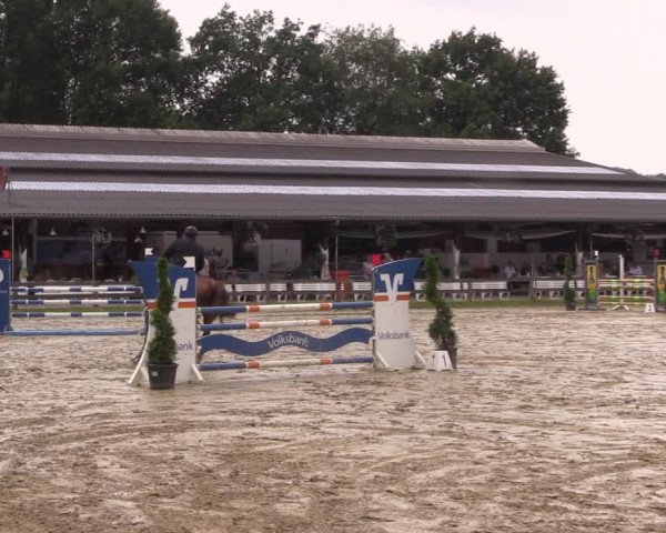 Reitturnier Münster-Roxel 2019