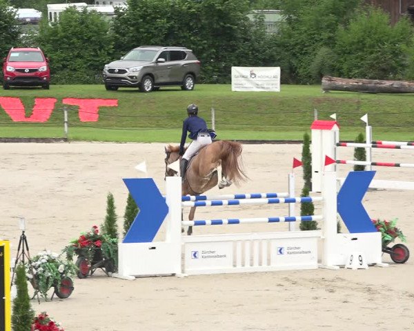 Reitturnier Turbenthal 2019
