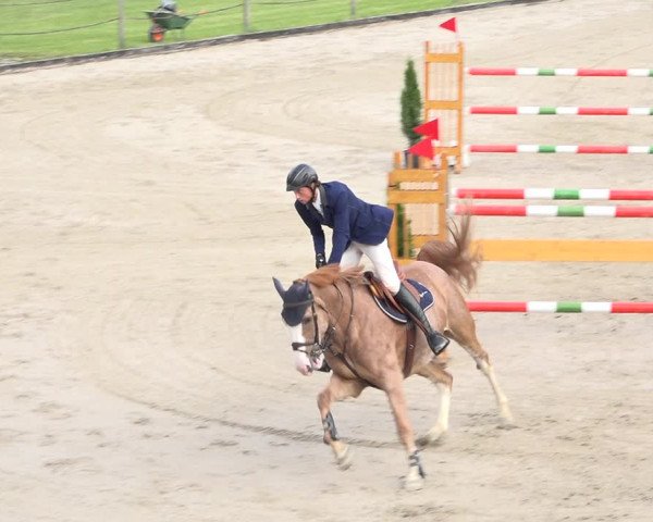 Reitturnier Turbenthal 2019