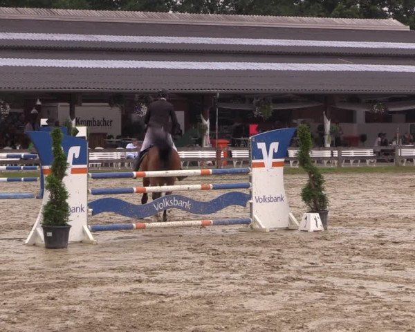 Reitturnier Münster-Roxel 2019