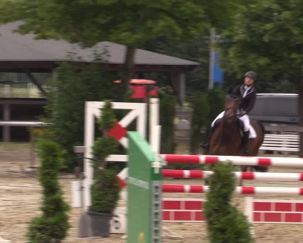 Reitturnier Münster-Roxel 2019