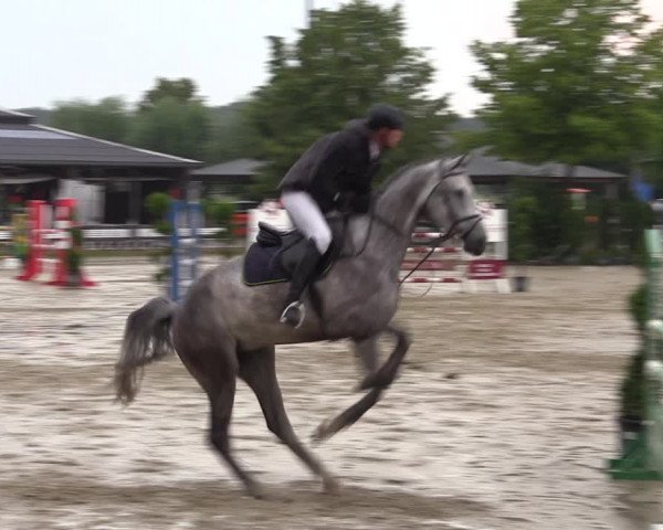 Reitturnier Münster-Roxel 2019