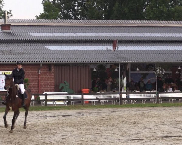 Reitturnier Münster-Roxel 2019