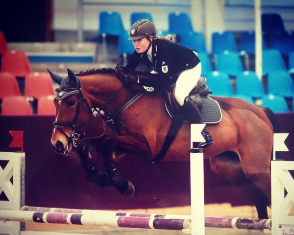 dressage horse Quite Elk (German Sport Horse, 2007, from Quite Capitol) dressage horse Quite Elk (German Sport Horse, 2007, from Quite Capitol)