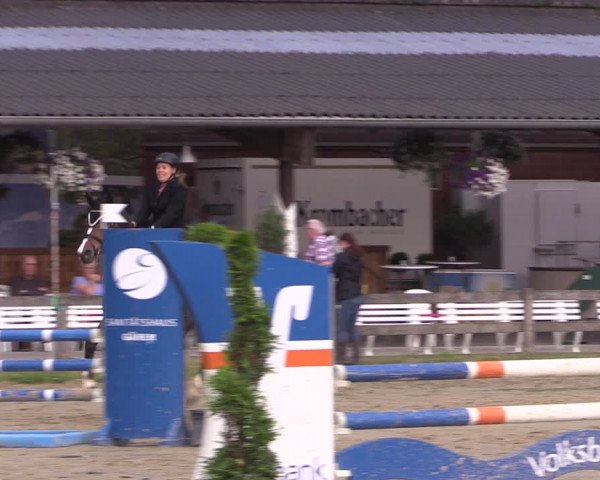 Reitturnier Münster-Roxel 2019