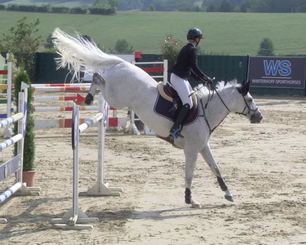 Reitturnier Lindlar-Süttenbach 2019