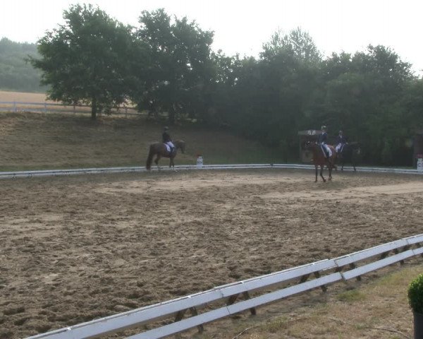 Reitturnier Vlotho-Exter 2019