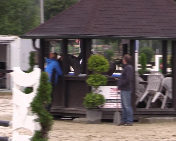Reitturnier Münster-Roxel 2019