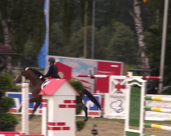 Reitturnier Münster-Roxel 2019
