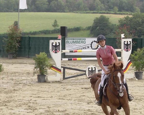 Reitturnier Lindlar-Süttenbach 2019