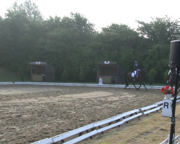 Reitturnier Vlotho-Exter 2019