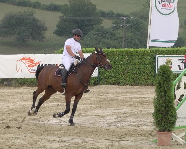 Reitturnier Lindlar-Süttenbach 2019