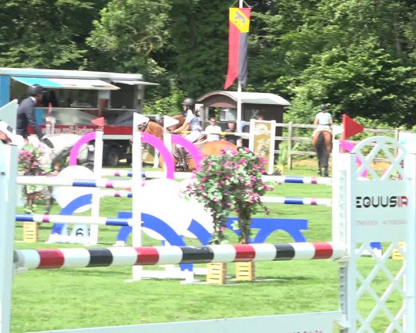 Reitturnier Kappelen-Lyss 2019