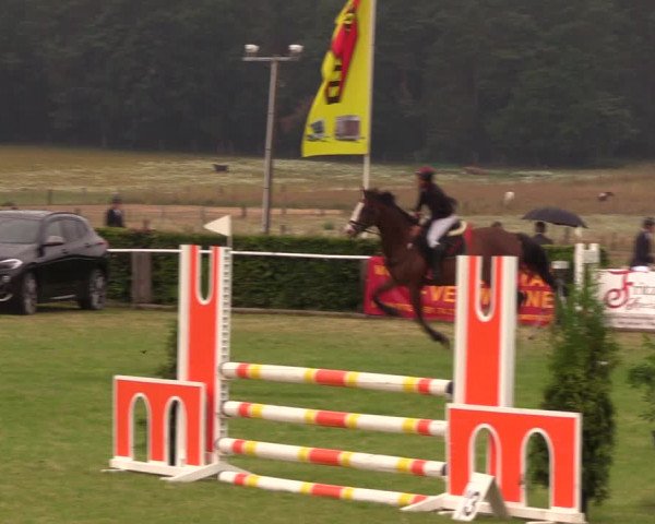 Reitturnier Ladeburg 2019