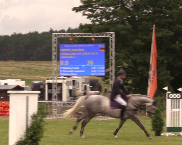 Reitturnier Ladeburg 2019