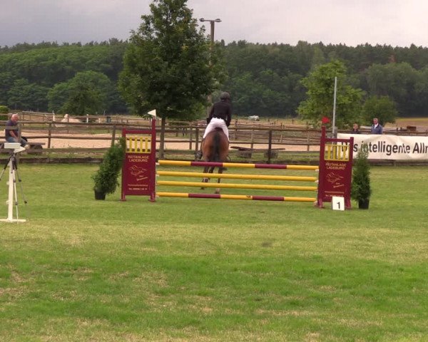 Reitturnier Ladeburg 2019