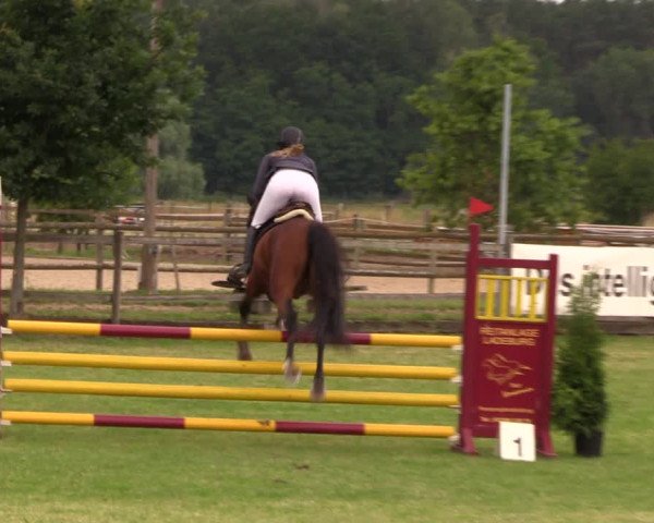 Reitturnier Ladeburg 2019