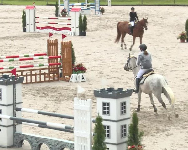 Reitturnier Turbenthal 2019