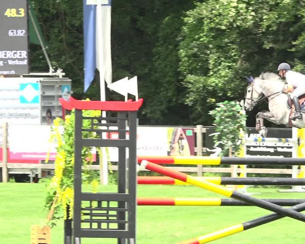 Reitturnier Kappelen-Lyss 2019