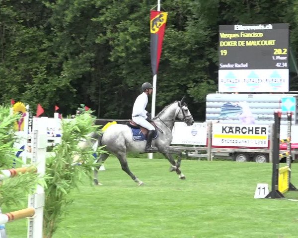 Reitturnier Kappelen-Lyss 2019