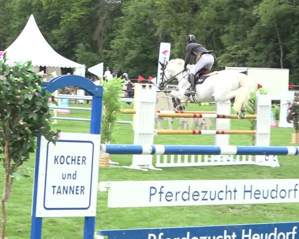 Reitturnier Kappelen-Lyss 2019