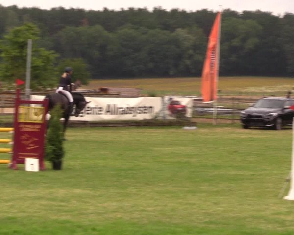 Reitturnier Ladeburg 2019