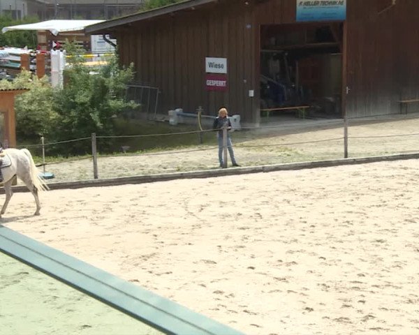 Reitturnier Turbenthal 2019