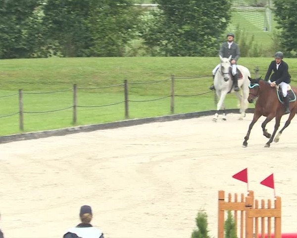 Reitturnier Turbenthal 2019