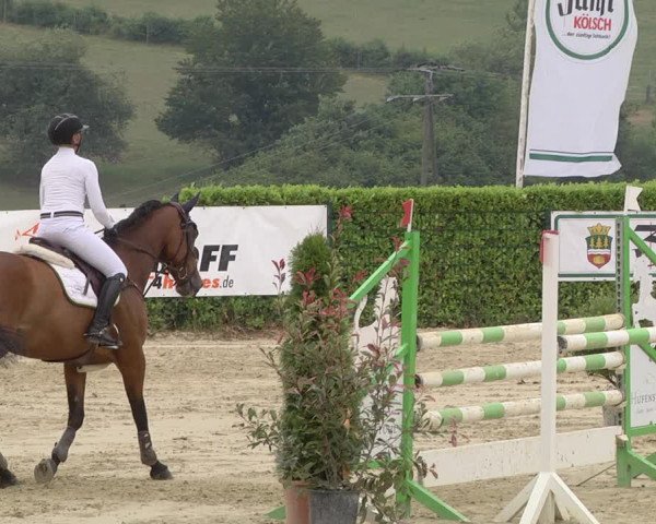Reitturnier Lindlar-Süttenbach 2019
