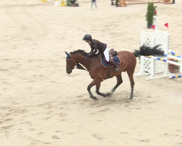 Reitturnier Turbenthal 2019