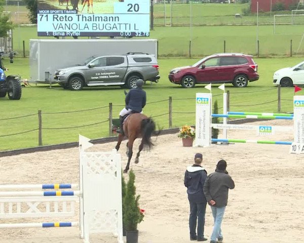 Reitturnier Turbenthal 2019