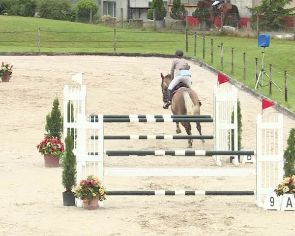 Reitturnier Turbenthal 2019