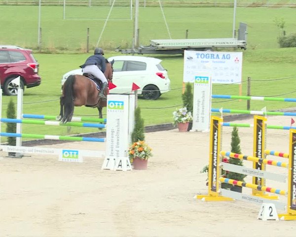 Reitturnier Turbenthal 2019