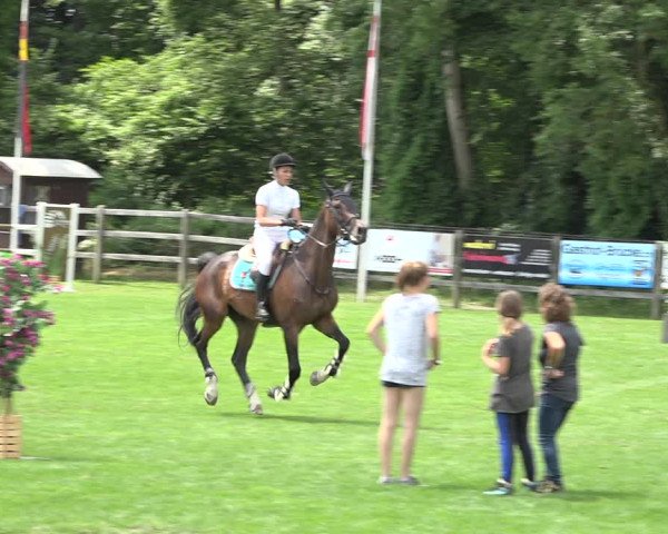 Reitturnier Kappelen-Lyss 2019