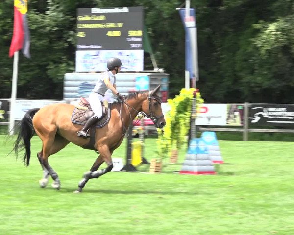 Reitturnier Kappelen-Lyss 2019