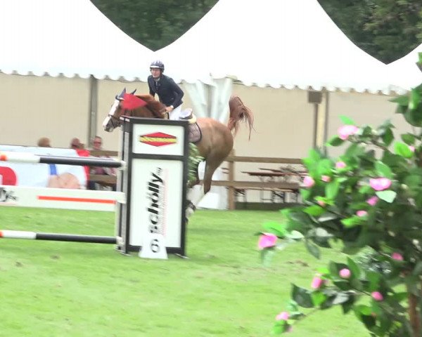 Reitturnier Kappelen-Lyss 2019