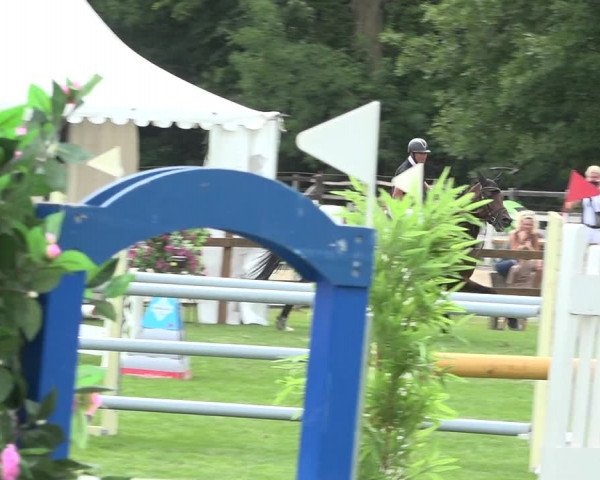 Reitturnier Kappelen-Lyss 2019