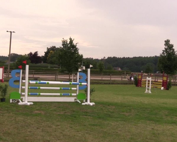 Reitturnier Ladeburg 2019