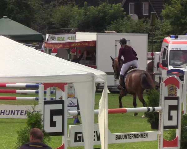 Reitturnier Süderbrarup-Güderott 2019